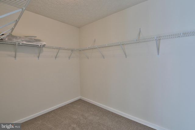 1009 JEANETT WAY, Bel Air, MD 21014