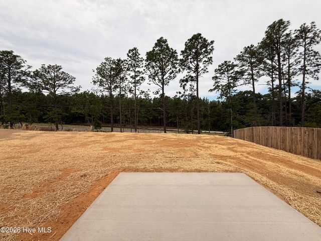 239 Harborwood Street, Lillington, NC 27546