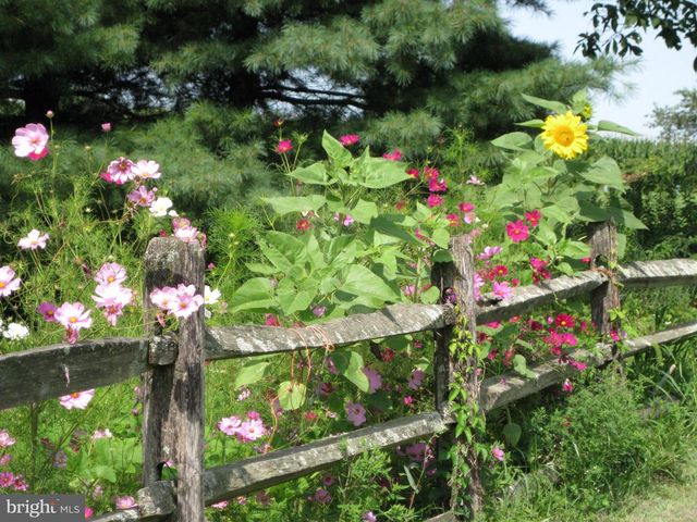 1095 TEXTER MOUNTAIN RD, Robesonia, PA 19551