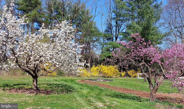 1095 TEXTER MOUNTAIN RD, Robesonia, PA 19551