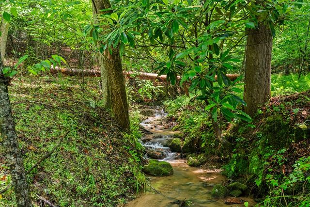 714 Pope Cove Trail, Hayesville, NC 28904