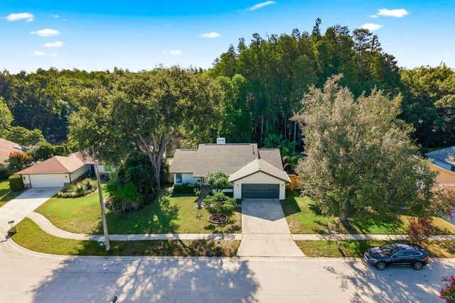 10907 AUTUMN OAK PLACE, Tampa, FL 33618