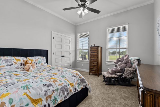 204 Zebrastone Way, Poolville, TX 76487
