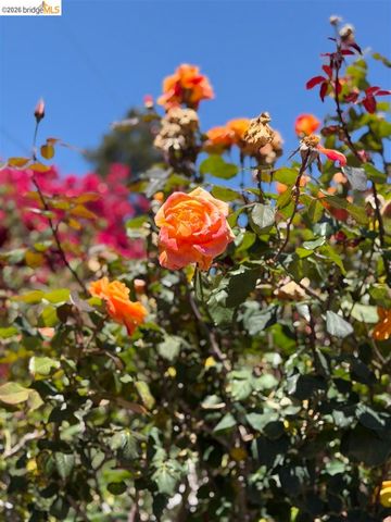 1385 Francisco St, Berkeley, CA 94702