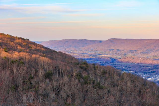 181 Sky High Trail, Dunlap, TN 37327