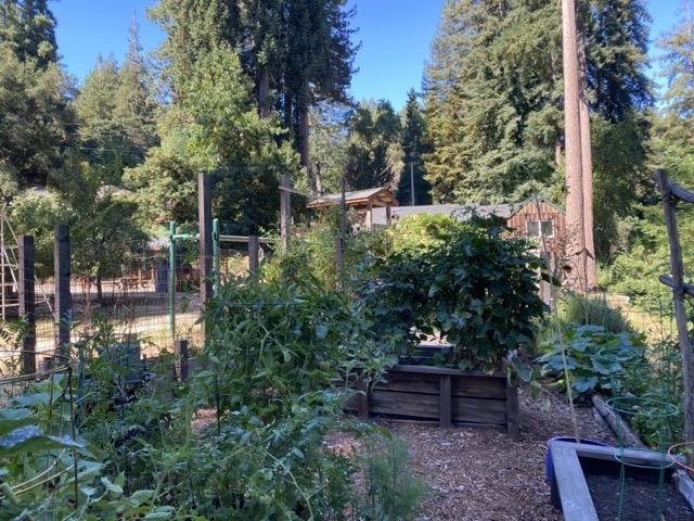 17960 Apache Trail, Los Gatos, CA 95033