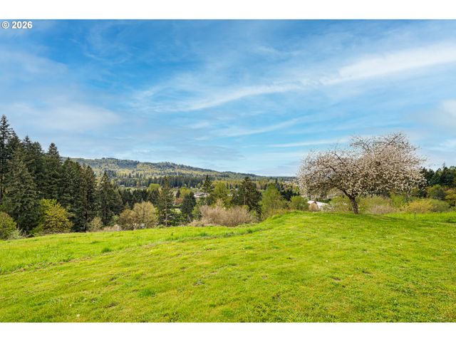 351 BUTTE HILL Rd, Woodland, WA 98674