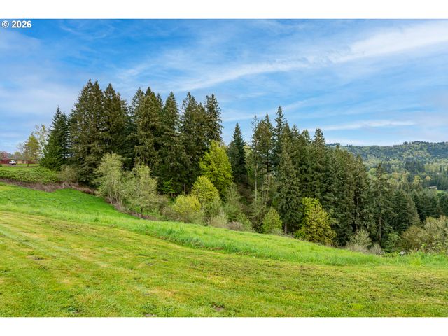 351 BUTTE HILL Rd, Woodland, WA 98674