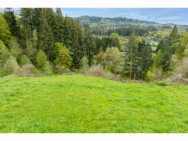 351 BUTTE HILL Rd, Woodland, WA 98674