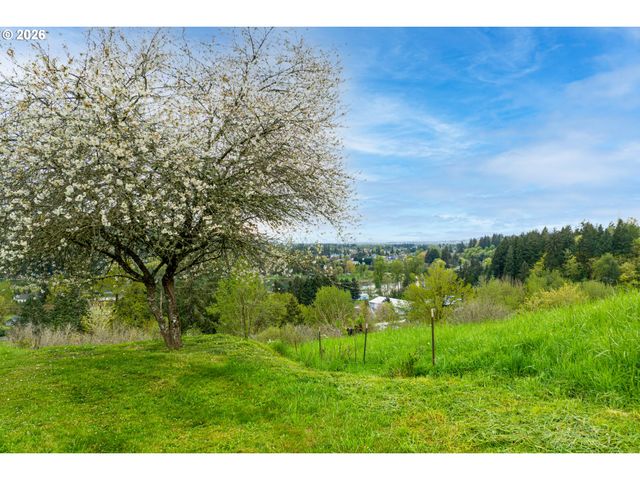 351 BUTTE HILL Rd, Woodland, WA 98674