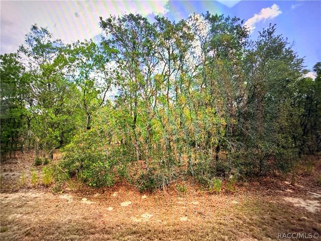 2155 E Cambridge Lane, Inverness, FL 34453