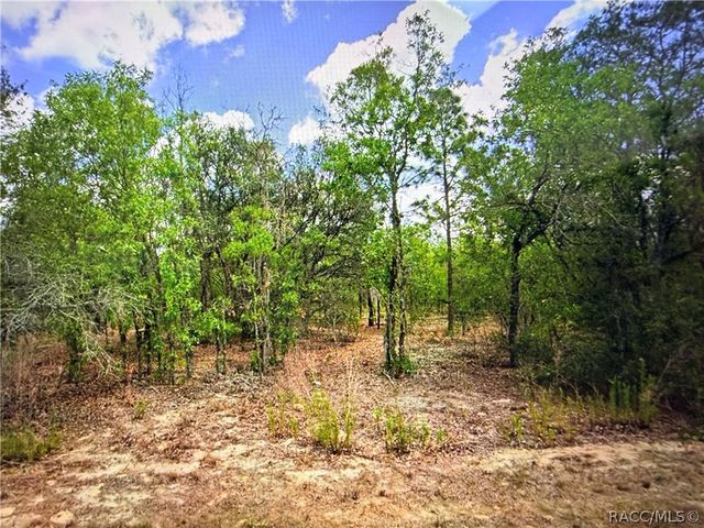 2155 E Cambridge Lane, Inverness, FL 34453