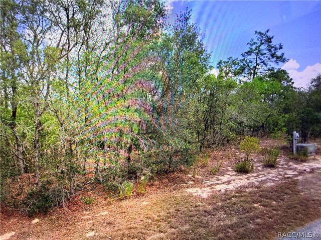 2155 E Cambridge Lane, Inverness, FL 34453