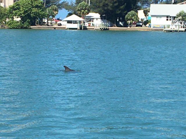 10126 TARPON DRIVE, Treasure Island, FL 33706