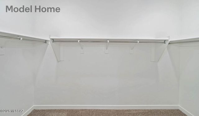 667 W Calle Lupa, Sahuarita, AZ 85629