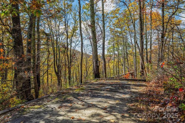 499 E Poplar Drive, Hendersonville, NC 28792