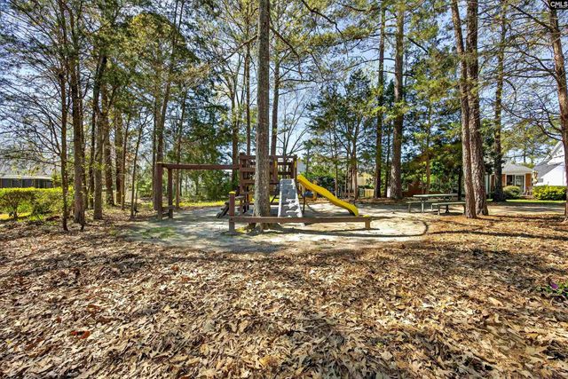 817 Willowood Parkway, Chapin, SC 29036