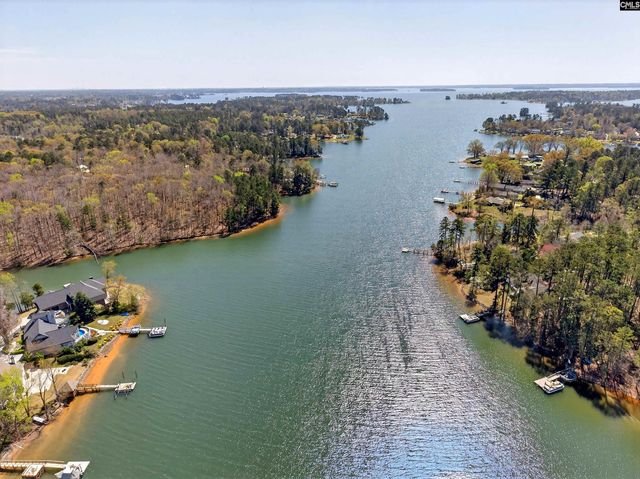 817 Willowood Parkway, Chapin, SC 29036