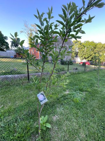 302 Danville Street, Lancaster, KY 40444