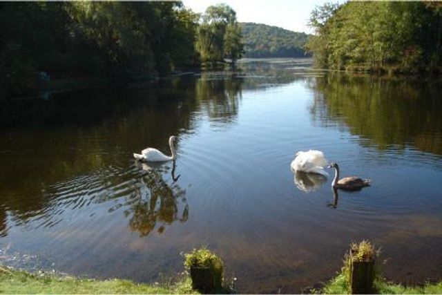 Ponderosa Road, Carmel, NY 10512