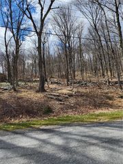 Ponderosa Road, Carmel, NY 10512