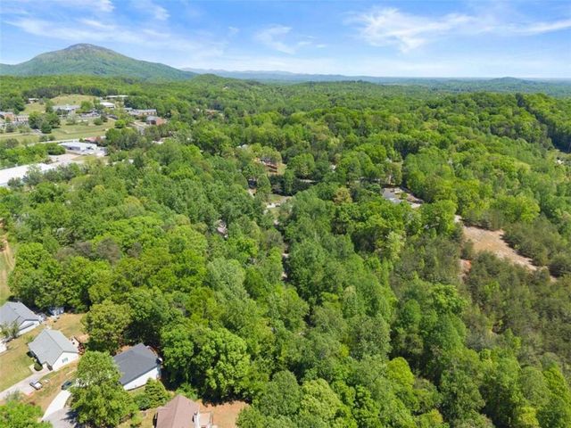 162 Greenview Court, Cleveland, GA 30528