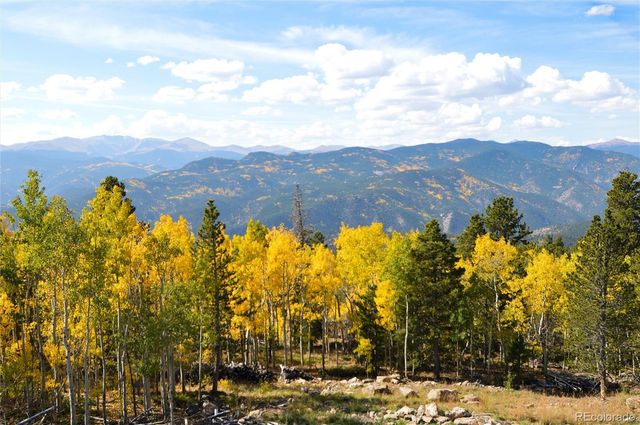 565 Bald Mountain Drive, Central City, CO 80427