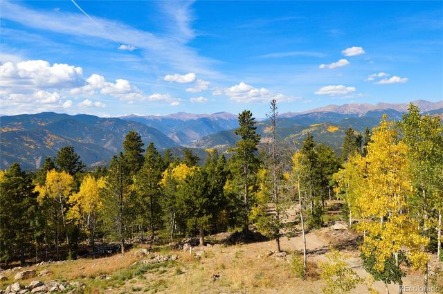 565 Bald Mountain Drive, Central City, CO 80427