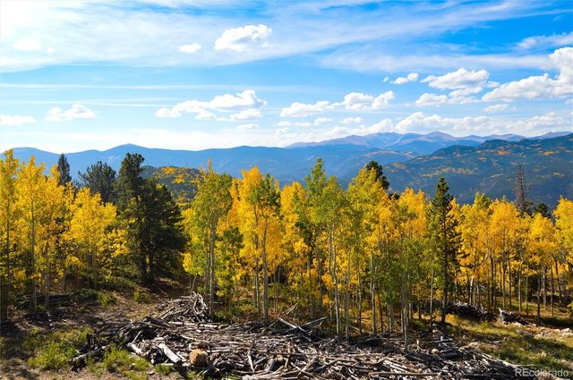 565 Bald Mountain Drive, Central City, CO 80427