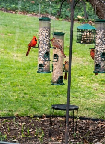 10824 Daffodil Circle, Soddy Daisy, TN 37379