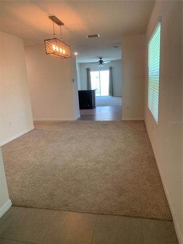 10977 CARLTON FIELDS DRIVE, Riverview, FL 33579