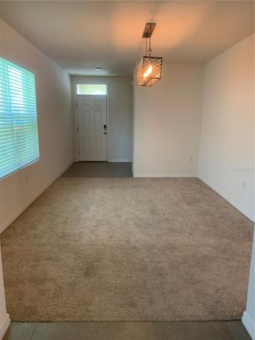 10977 CARLTON FIELDS DRIVE, Riverview, FL 33579