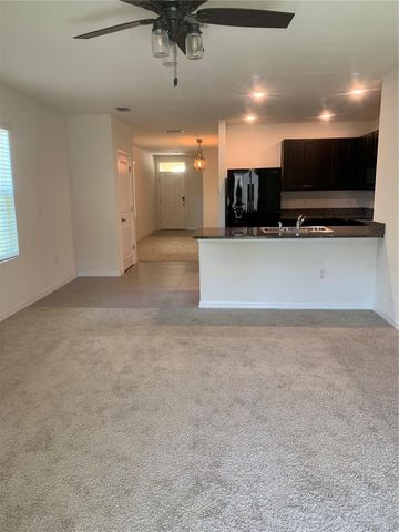 10977 CARLTON FIELDS DRIVE, Riverview, FL 33579