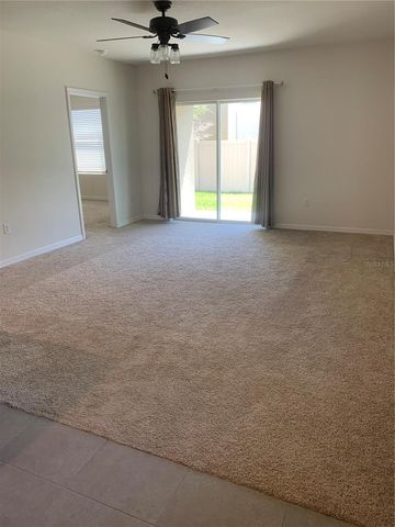 10977 CARLTON FIELDS DRIVE, Riverview, FL 33579
