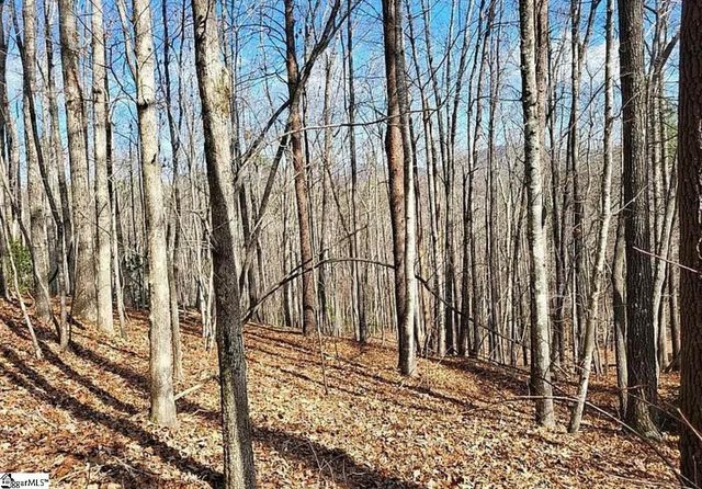 106 Heritage Woods Trail, Marietta, SC 29661