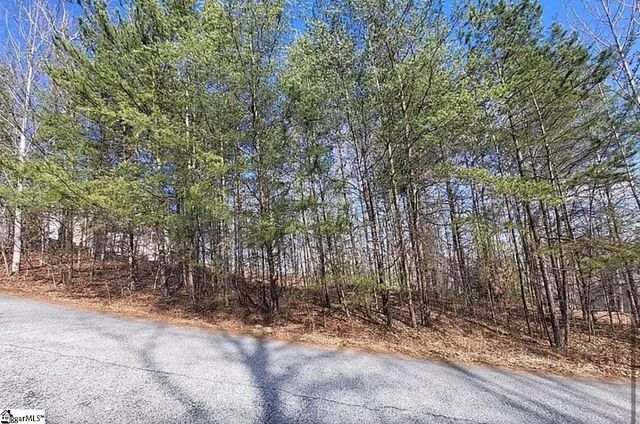 106 Heritage Woods Trail, Marietta, SC 29661