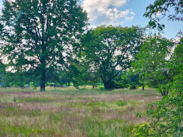 Vacant Springborn Road, Casco Twp, MI 48064