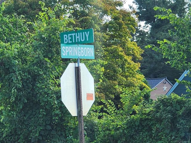 Vacant Springborn Road, Casco Twp, MI 48064