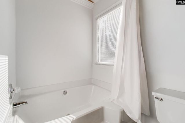 3 Holly Hedge Court, Blythewood, SC 29016