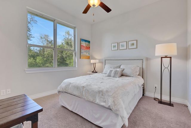 340 Pine Drive, Coldspring, TX 77331