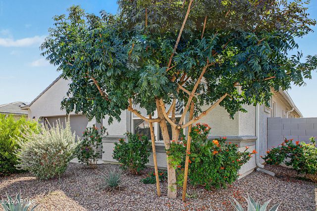 18363 W WHISPERING WIND Drive, Surprise, AZ 85387