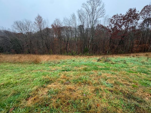 141 Allen Cemetery Road, Knifley, KY 42753