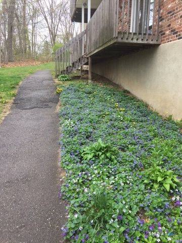 83 Birge Street, Torrington, CT 06790