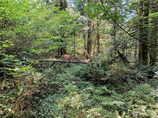 300000 BLK Daggart Lake Road, Monroe, WA 98272