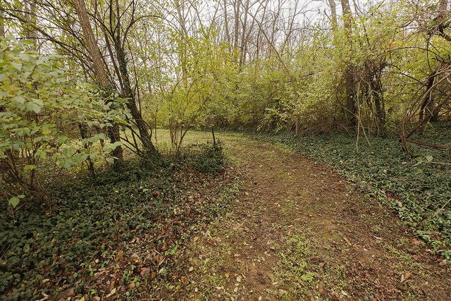 311 Sunset Lane, Nicholasville, KY 40356