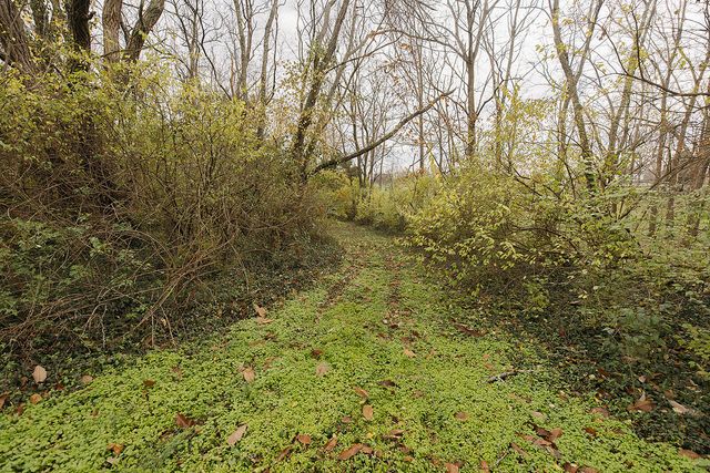 311 Sunset Lane, Nicholasville, KY 40356