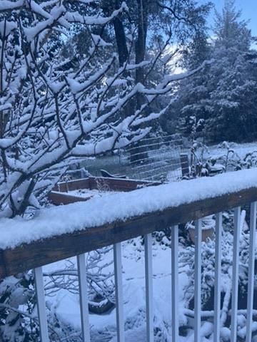 95 Sunlit Lane, Santa Cruz, CA 95060