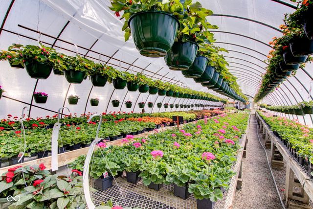 3533 Alexandria Pike, Anderson, IN 46012