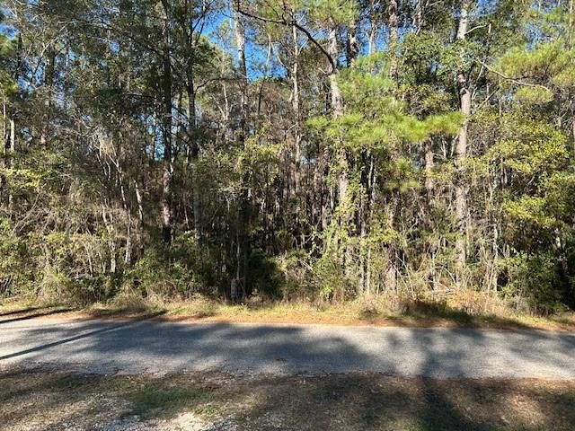 0 Bayou Road, Bayou La Batre, AL 36509