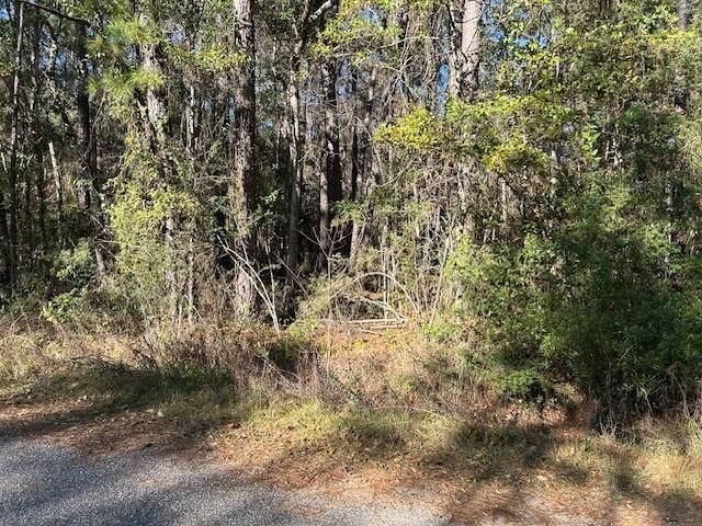0 Bayou Road, Bayou La Batre, AL 36509